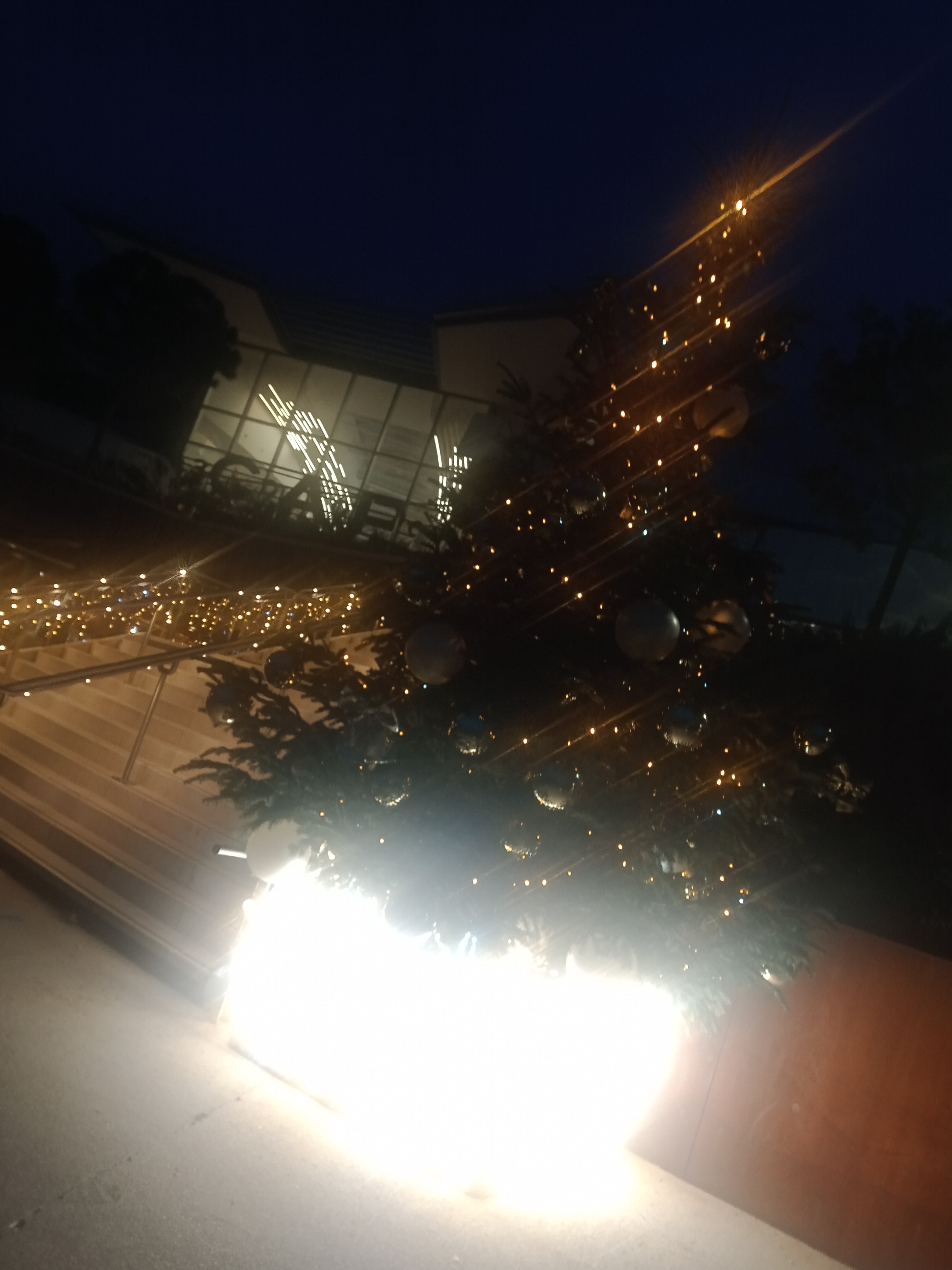 Photo n° 2 de l'avis de Kim.s fait le 29/12/2022 à 23:28