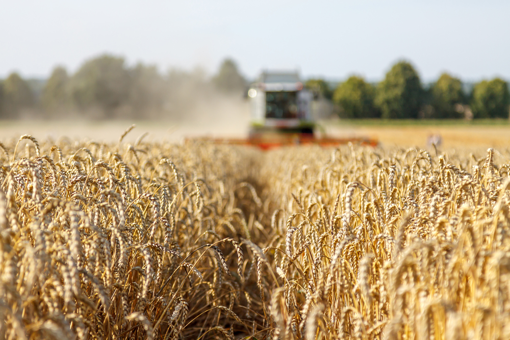 Morrill Elevator, Inc. 66515