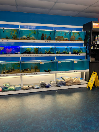 Pet Supply Store «Pet Supermarket», reviews and photos, 1125 Royal Palm Beach Blvd, Royal Palm Beach, FL 33411, USA