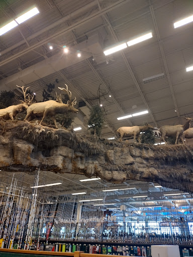 Sporting Goods Store «Bass Pro Shops», reviews and photos, 1000 Basspro Dr, Houston, TX 77047, USA