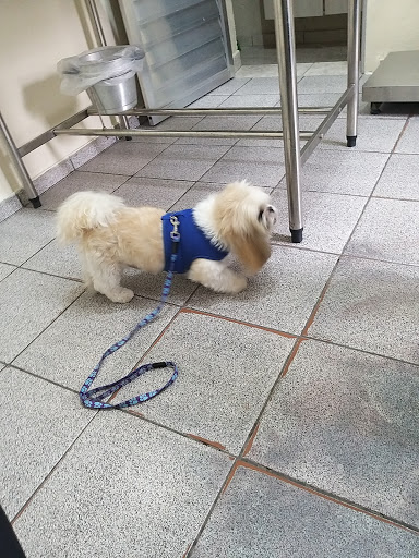 Dra Kelly Veterinaria & Pet Shop Banho E Tosa em São Paulo - SP