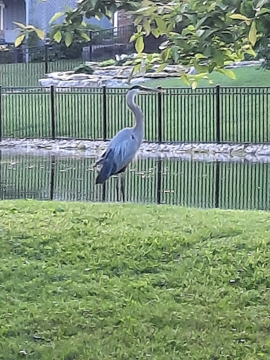 Park «A.B. Sawyer Park», reviews and photos, 9300 Whipps Mill Rd, Louisville, KY 40242, USA