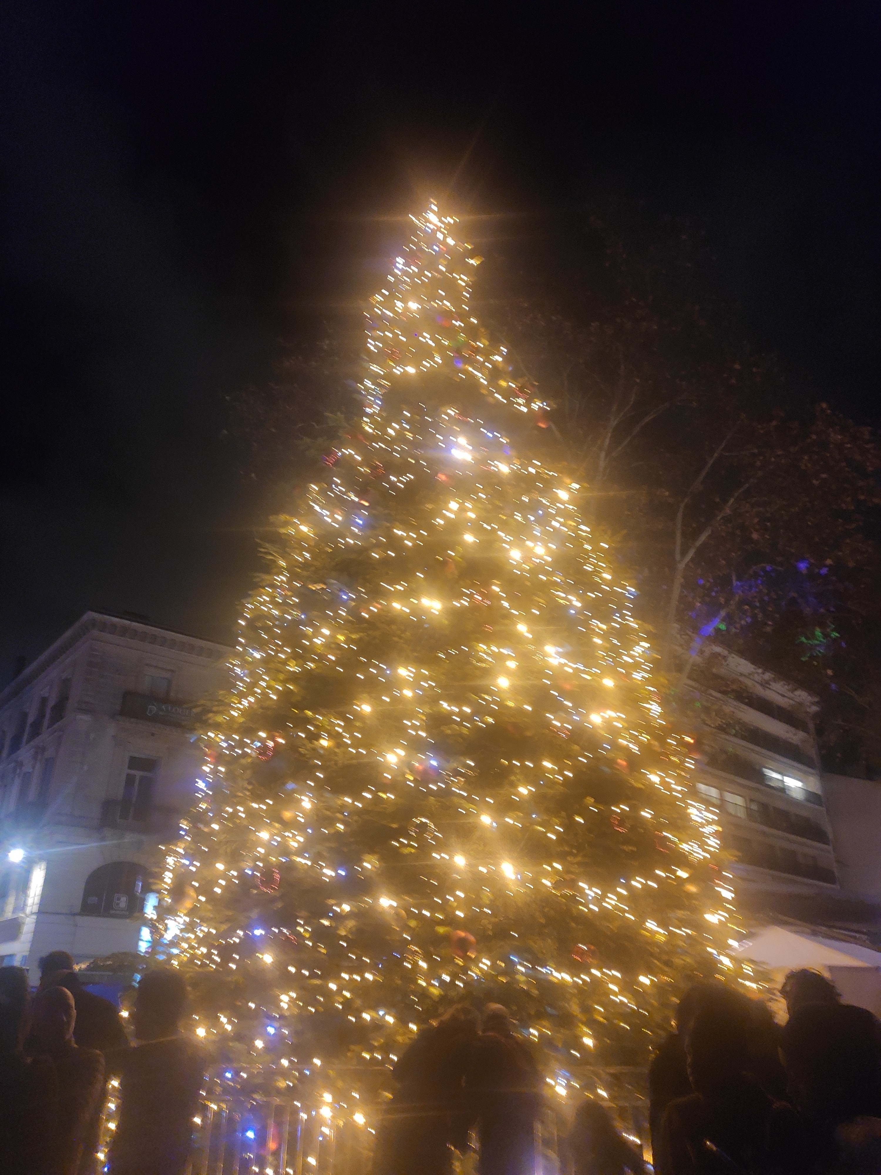Photo n° 5 de l'avis de Jess.e fait le 21/12/2023 à 21:06