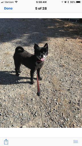 Auto Repair Shop «Mill Valley Auto Service Near Sausalito Stinson Beach Tiburon», reviews and photos, 242 Shoreline Hwy, Mill Valley, CA 94941, USA