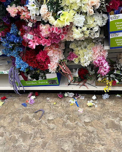 Dollar Store «Dollar Tree», reviews and photos, 1243 E Higgins Rd, Schaumburg, IL 60173, USA