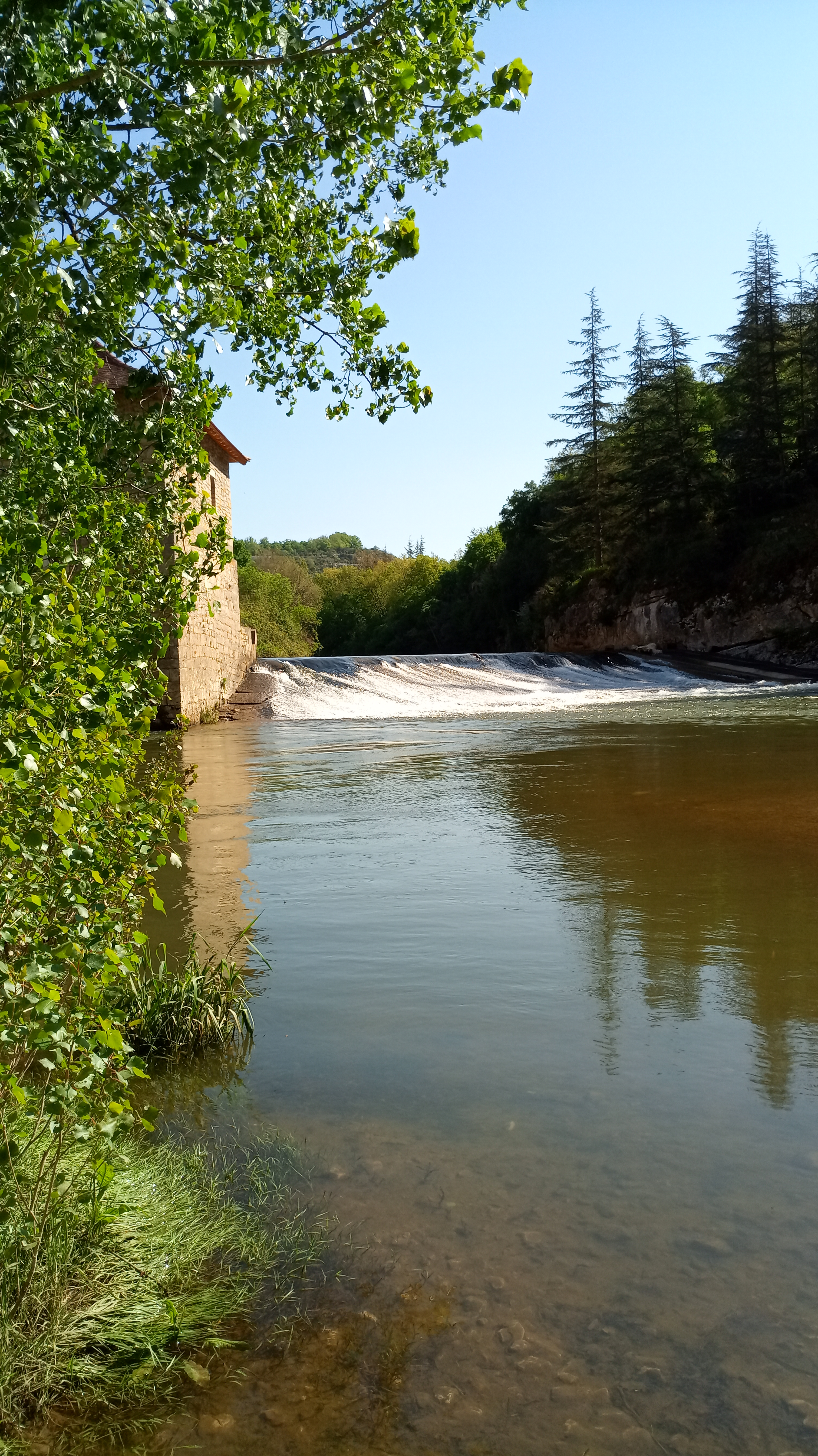 Photo n° 15 de l'avis de jean-françois.4 fait le 01/05/2022 à 15:48