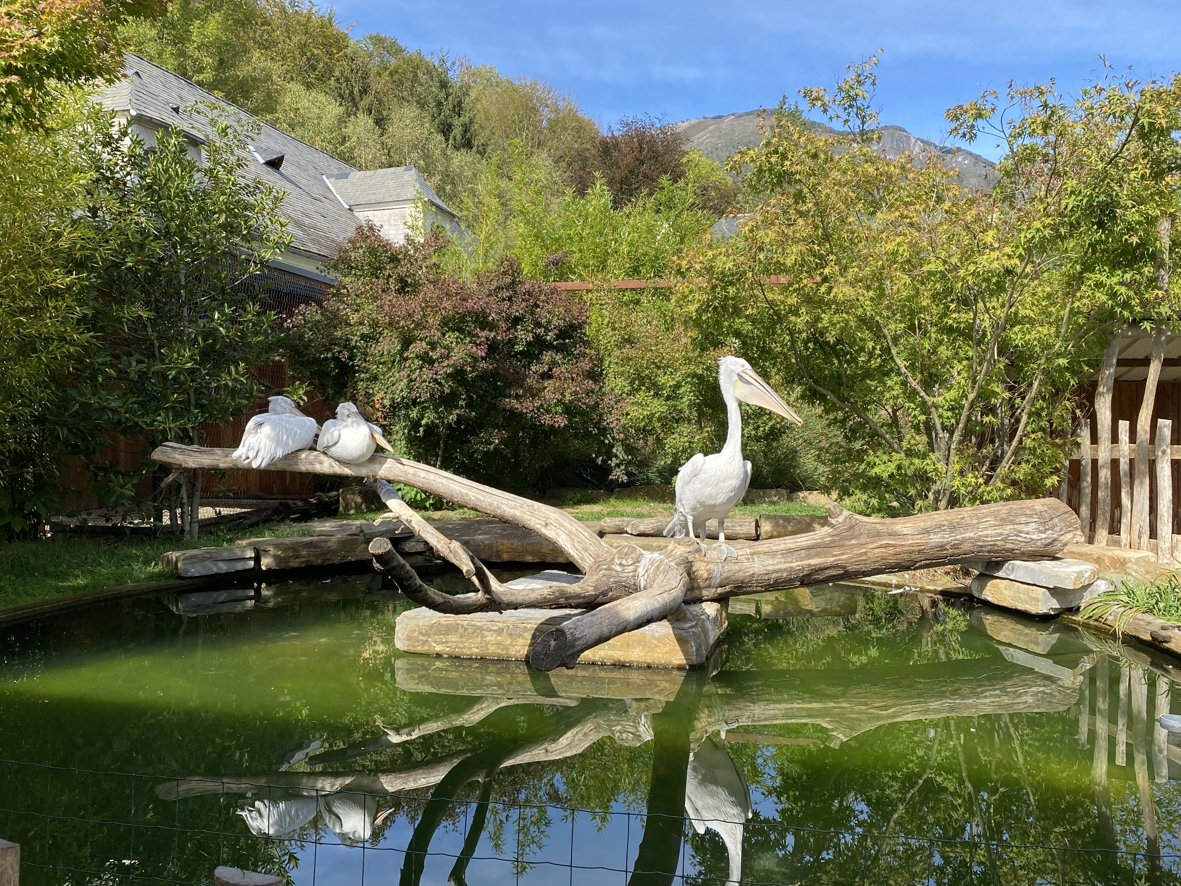 Photo n° 1 de l'avis de Julie-Audrey.e fait le 28/10/2022 à 03:13