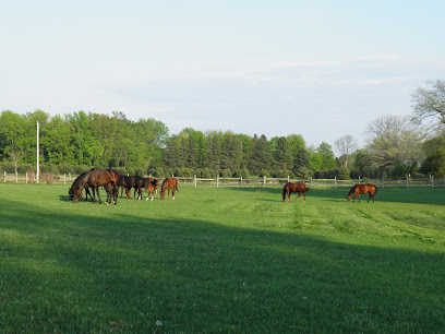 Great Lakes Stables