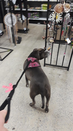 Hardware Store «Handy Ace Hardware», reviews and photos, 3969 Lawrenceville Hwy, Tucker, GA 30084, USA