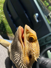 Nay Day - Photo 3 - Car repair in Charlotte, NC, Charlotte