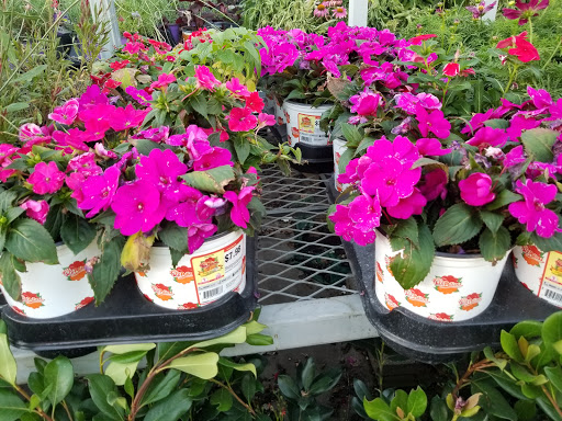 Home Improvement Store «The Home Depot», reviews and photos, 2461 Naglee Rd, Tracy, CA 95304, USA