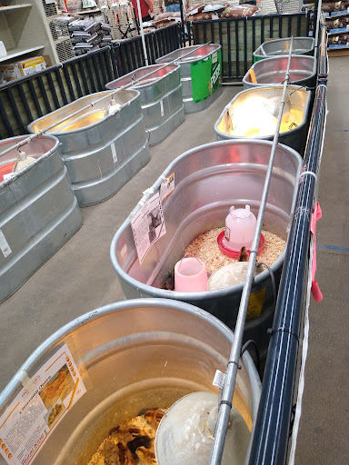 Department Store «Rural King», reviews and photos, 23625 US-23, Circleville, OH 43113, USA