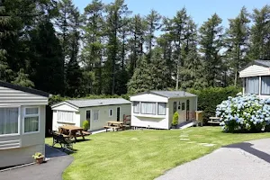 Trees Caravan Park image