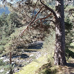 Photo n° 3 de l'avis de Cat.a fait le 01/09/2023 à 20:18 pour Pont d'Espagne à Cauterets