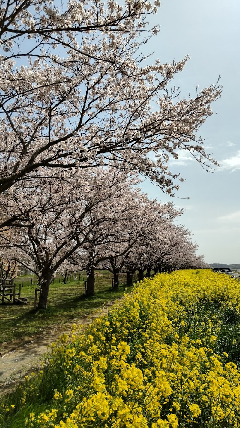 安塚公園