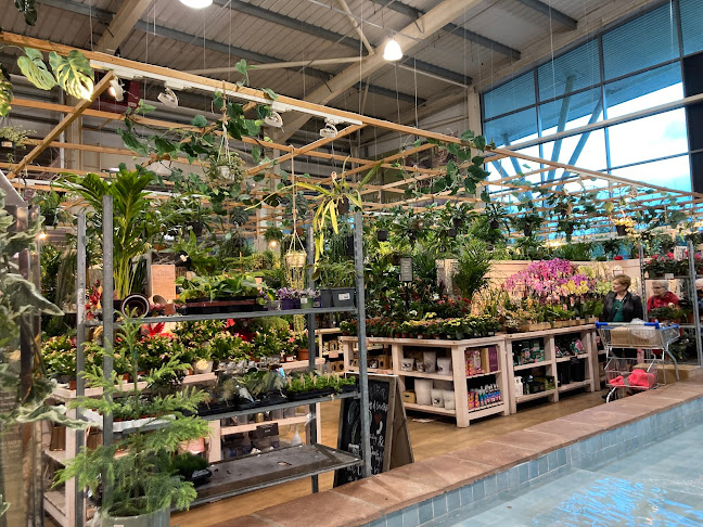 Comments and reviews of Trentham Garden Centre