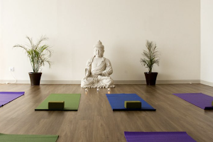Yoga + Herbs image