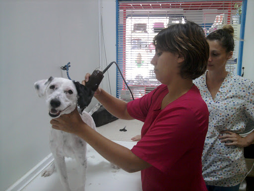 Clínica Veterinaria Jameos en Arrecife