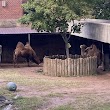 Lincoln Park Zoo Gateway Pavilion