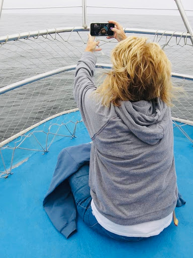 Travel Agency «Take Time To Travel», reviews and photos, 323 E Main St, Cartersville, GA 30120, USA