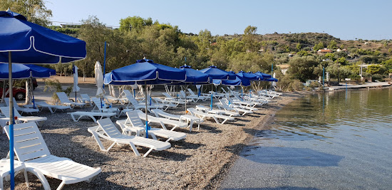 Niki's beach