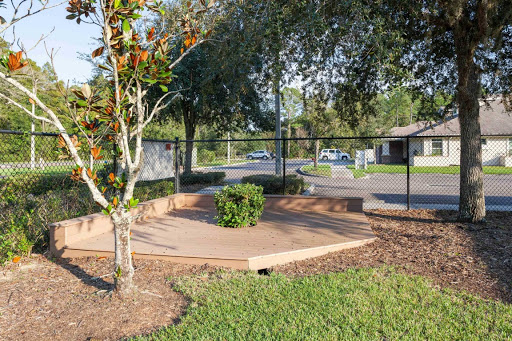 Preschool «Bright Horizons at Tampa Palms», reviews and photos, 5171 Cypress Preserve Dr, Tampa, FL 33647, USA