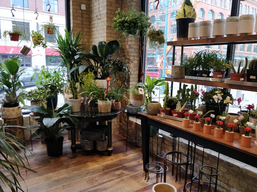 General Store «MOD GEN - A Modern General Store», reviews and photos, 211 N Broadway, Milwaukee, WI 53202, USA