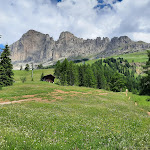 Photo n°4 de l'avis de D... fait le 16/12/2021 à 07:06 sur le  Romantik Hotel Post à Welschnofen