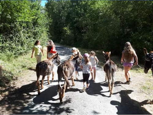 Murmur'ânes aux Millevents à La Roche-Clermault