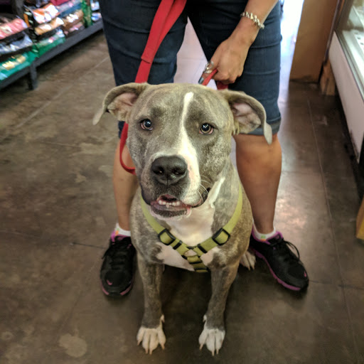 Pet Supply Store «Bow Wow & Meow», reviews and photos, 11607 Maumelle Blvd, North Little Rock, AR 72113, USA