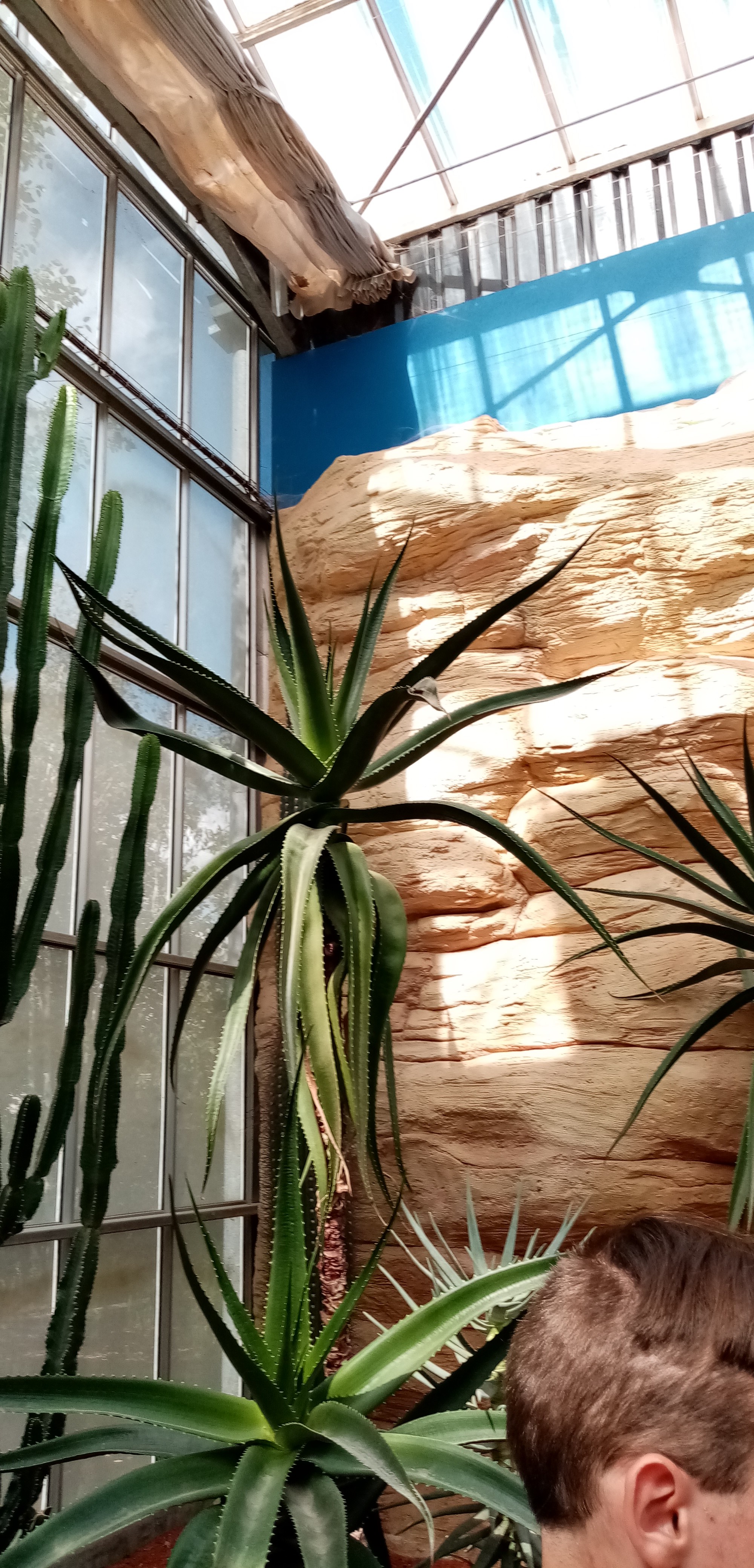 Photo n° 28 de l'avis de Laurent.d fait le 27/09/2019 à 14:02