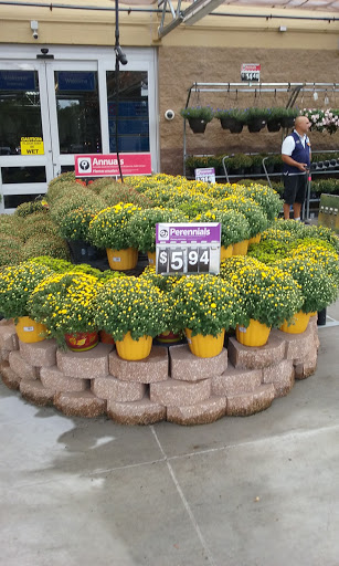 Discount Store «Walmart», reviews and photos, 2140 Bloomingdale Ave, Valrico, FL 33596, USA