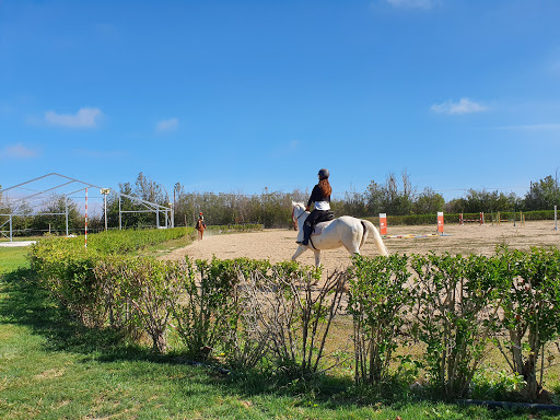 Información y opiniones sobre Hípica Paraíso de Palencia