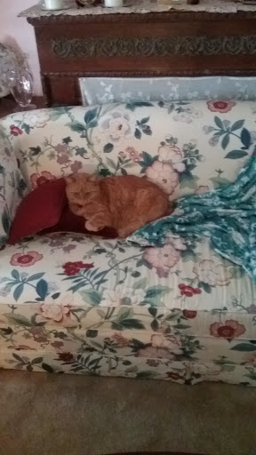 Supermarket «Walmart Neighborhood Market», reviews and photos, 3059 Lawrenceville Hwy, Lawrenceville, GA 30044, USA