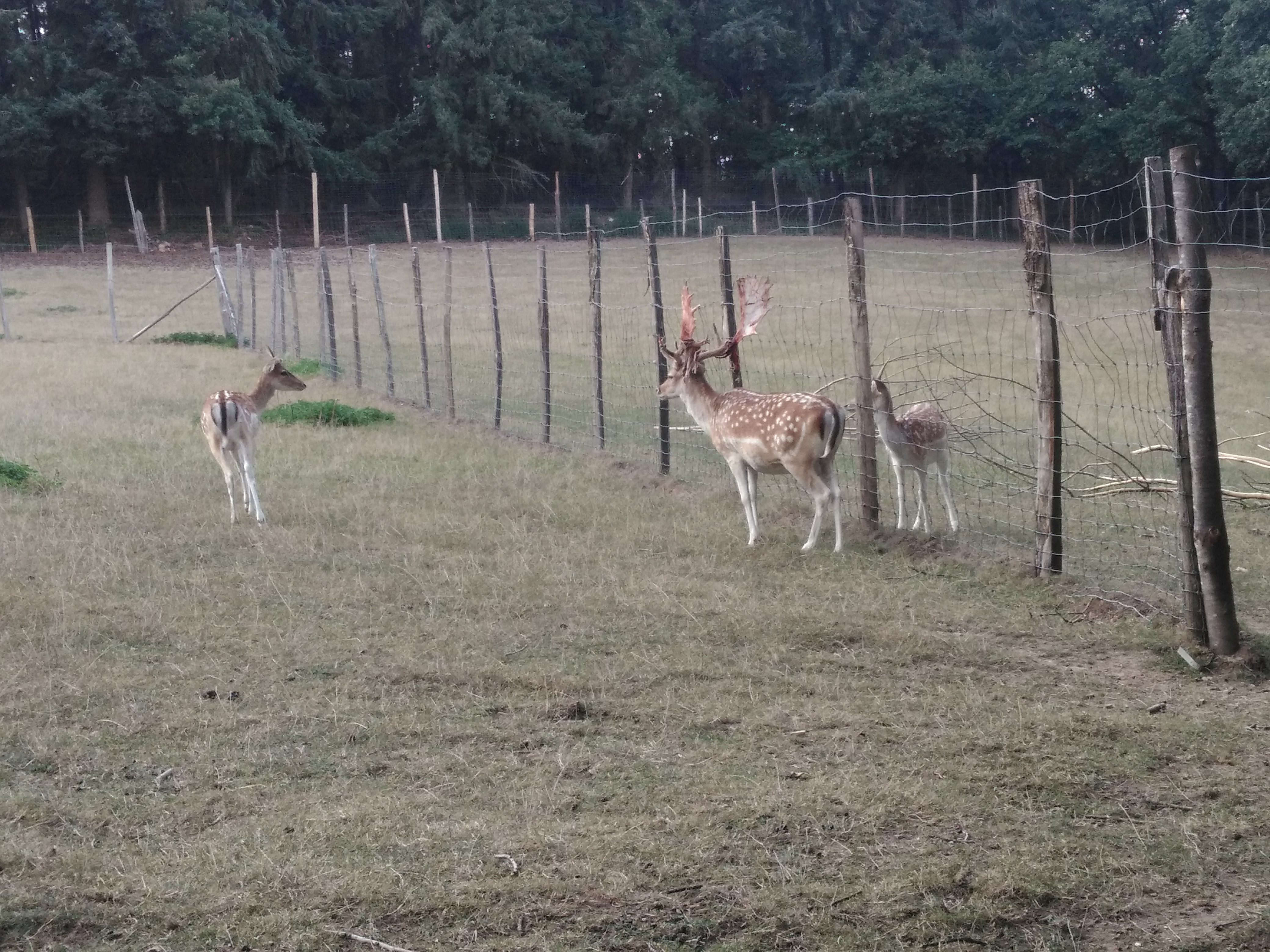 Photo n° 5 de l'avis de Sandrine.. fait le 31/08/2019 à 18:31