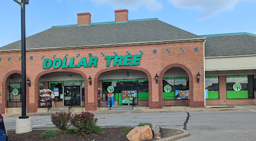 Dollar Tree, 12533 Olive Blvd, Creve Coeur, MO 63141, USA, 