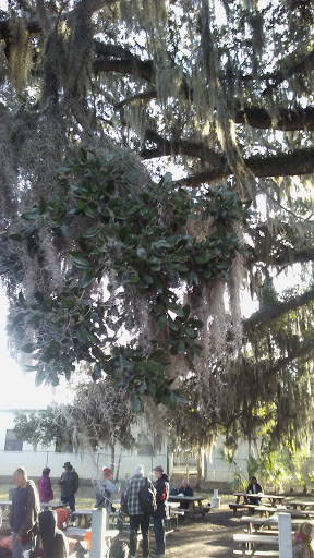 Homeless Shelter «Interfaith Emergency Services Inc», reviews and photos, 435 NW 2nd St, Ocala, FL 34475, USA