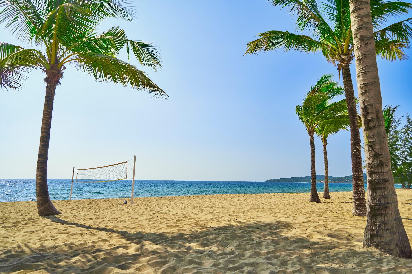 Movenpick Beach photo #8