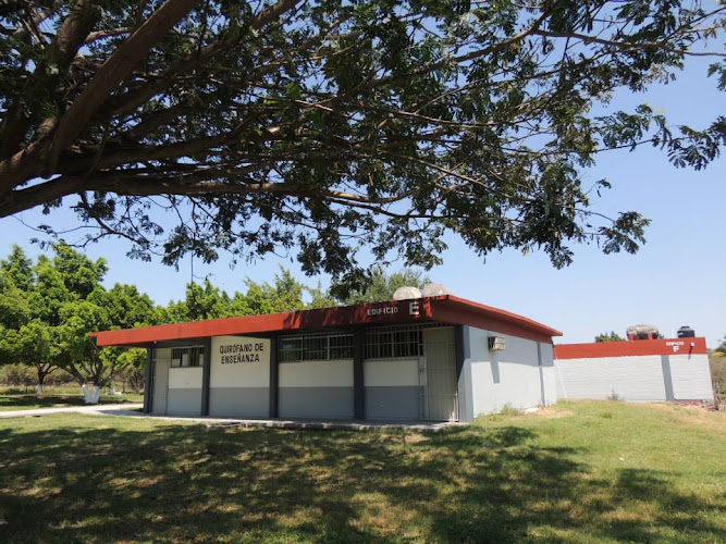 Facultad de Medicina Veterinaria y Zootecnia, Ciudad Altamirano | UAGro