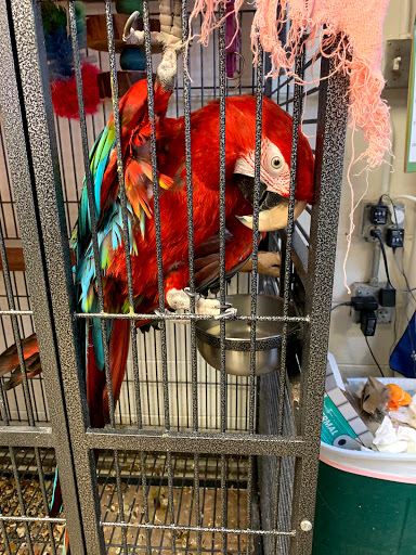 Pet Store «Animart Pets», reviews and photos, 2813 Veterans Memorial Hwy SW, Austell, GA 30168, USA