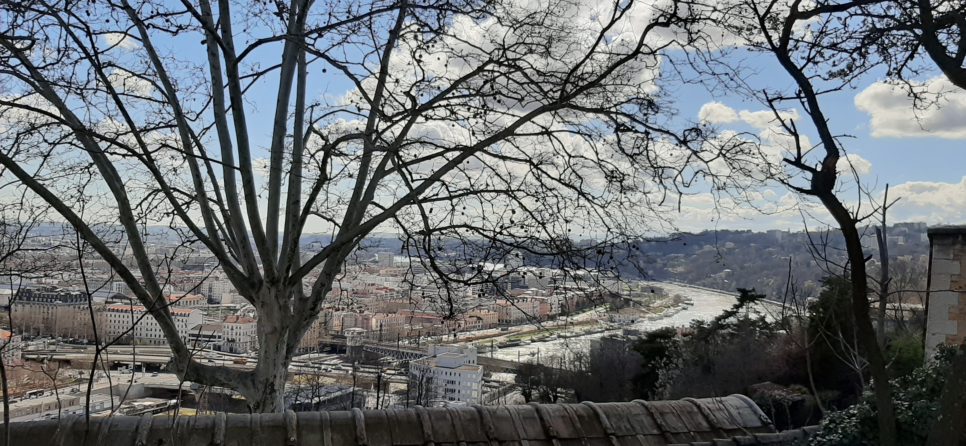 Photo n° 1 de l'avis de papa.d fait le 11/03/2020 à 21:10