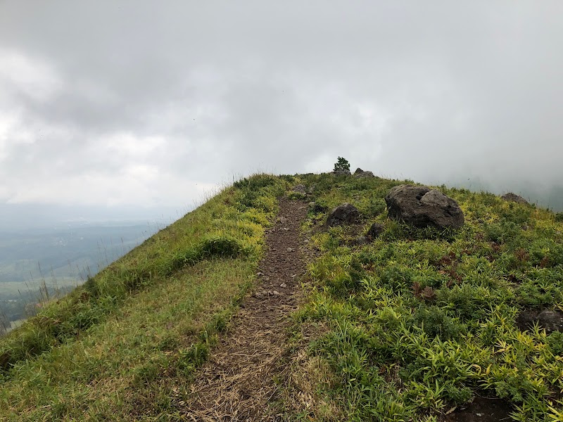 おにぎり山