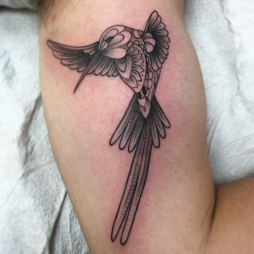 Tattoo Shop «Propaganda Tattoo», reviews and photos, 3704 Voltaire St, San Diego, CA 92107, USA