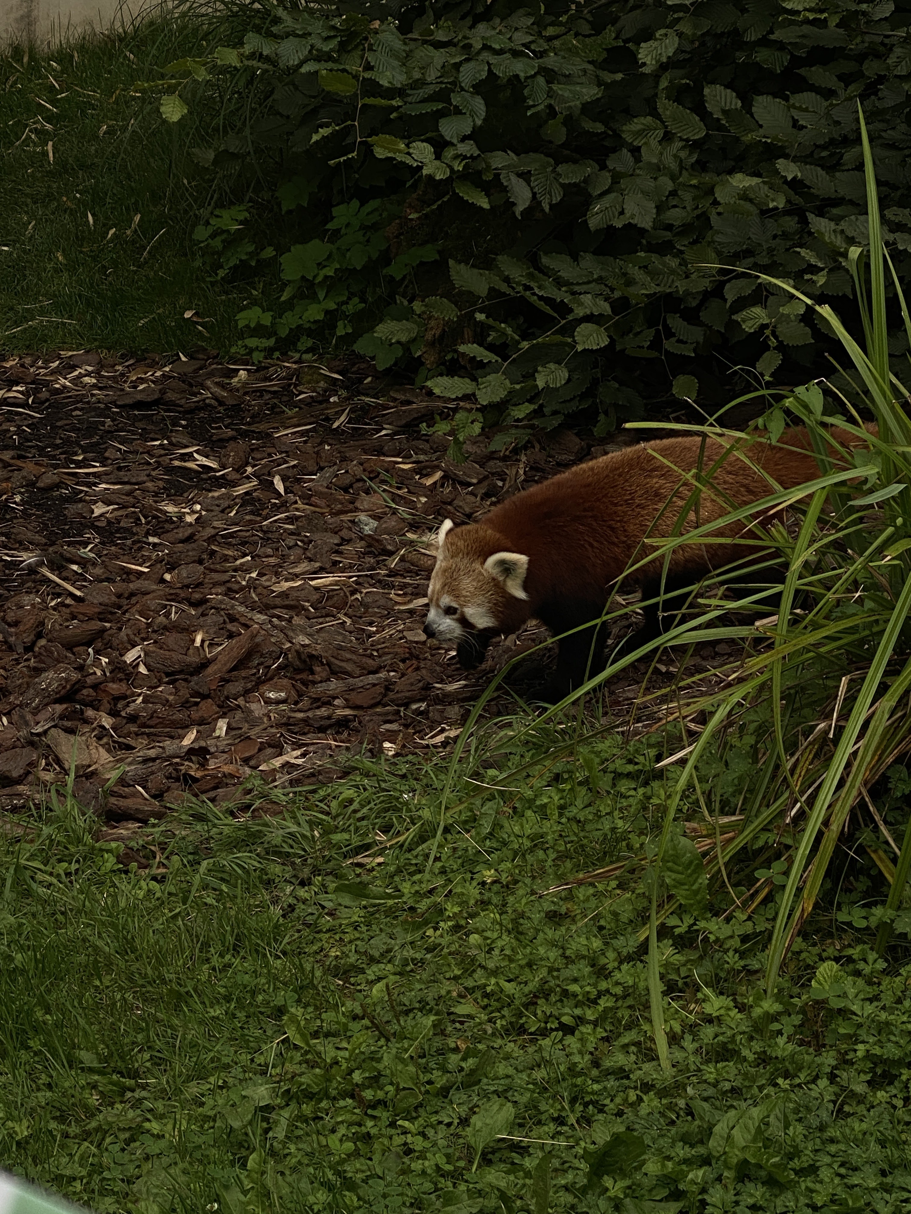 Photo n° 6 de l'avis de Laetitia.r fait le 15/08/2023 à 14:48