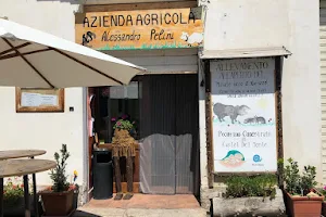 Azienda Zootecnica Gran Sasso image