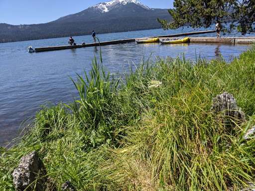 National Forest «Umpqua National Forest», reviews and photos, 1121 Houser Ct, Idleyld Park, OR 97447, USA