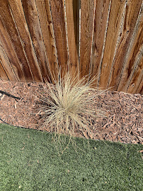 DKS Custom Environments - Photo 5 - Car repair in , Colorado Springs