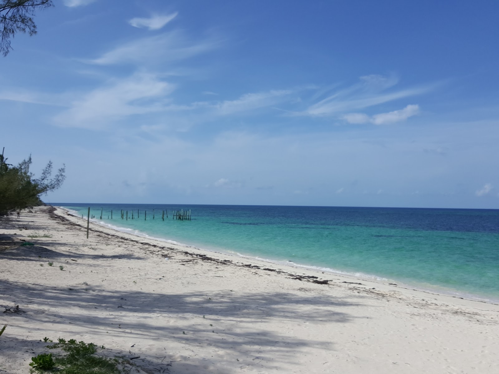 Foto de Nicholls Town beach com meios de comunicação nível de limpeza