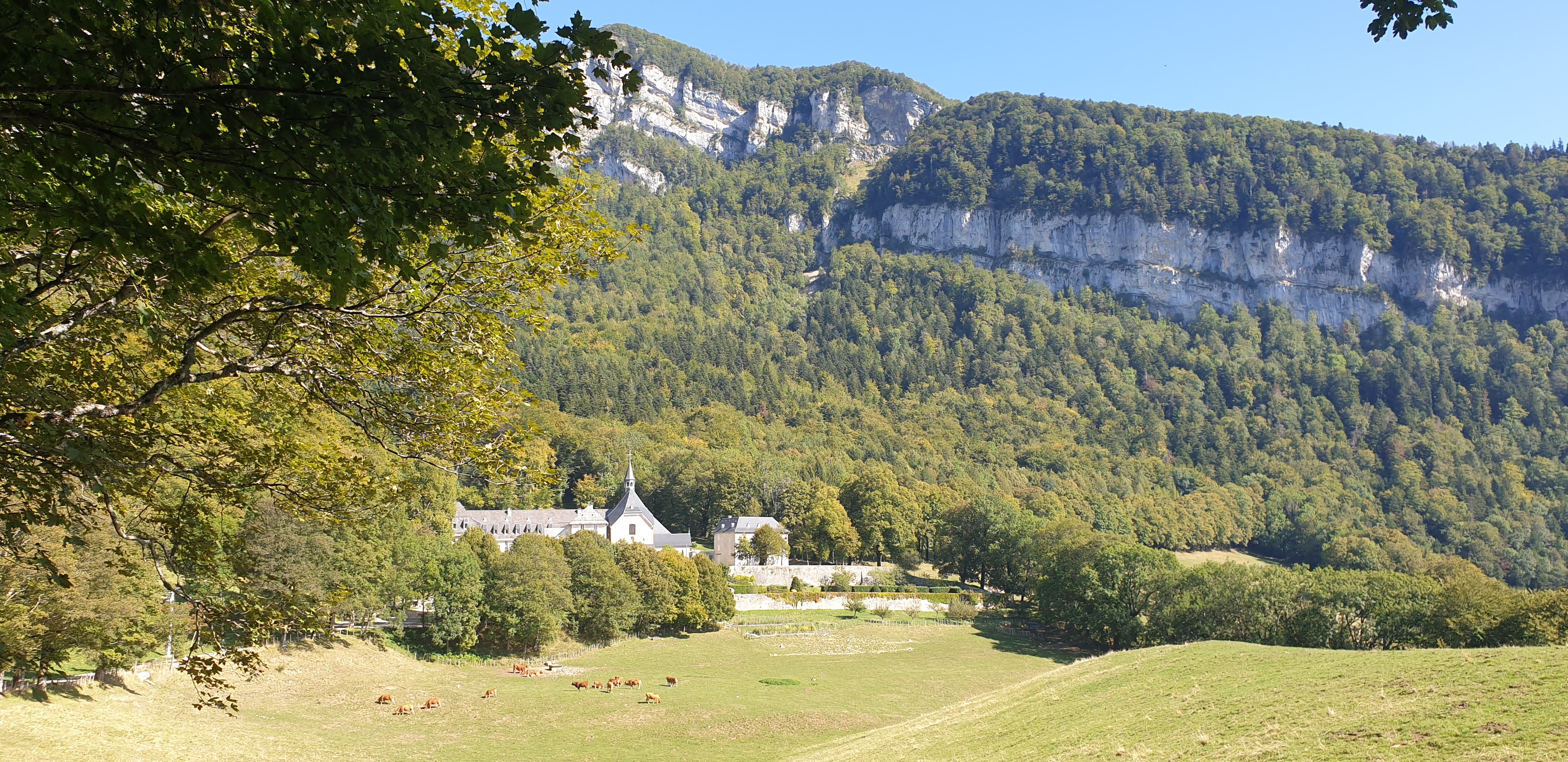 Photo n° 1 de l'avis de Dunand.i fait le 26/09/2023 à 19:16
