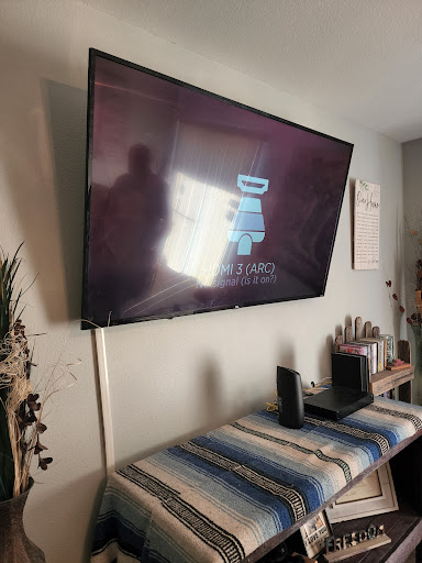 RSS Boys - Tv Mounting Service